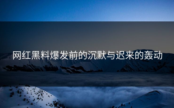 网红黑料爆发前的沉默与迟来的轰动 网红黑料爆发前的沉默与迟来的轰动