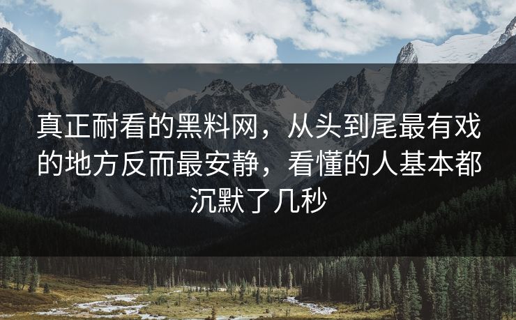 真正耐看的黑料网，从头到尾最有戏的地方反而最安静，看懂的人基本都沉默了几秒