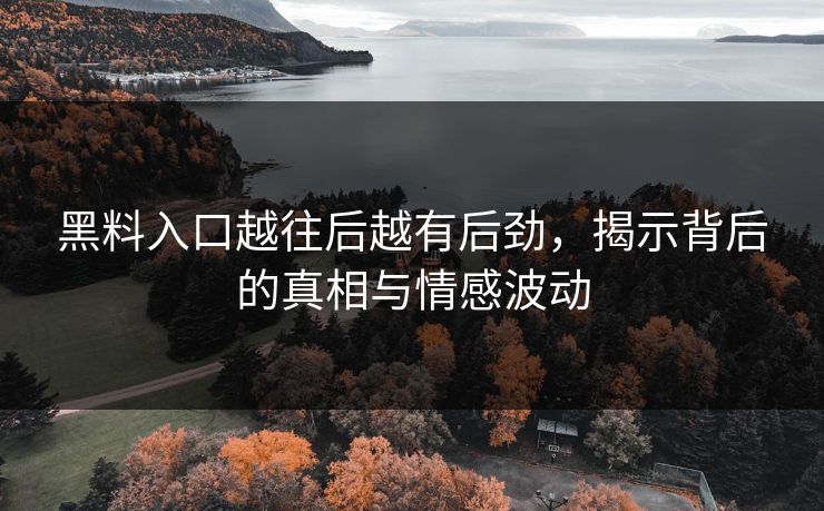 黑料入口越往后越有后劲，揭示背后的真相与情感波动