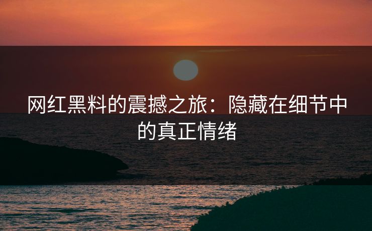 网红黑料的震撼之旅：隐藏在细节中的真正情绪